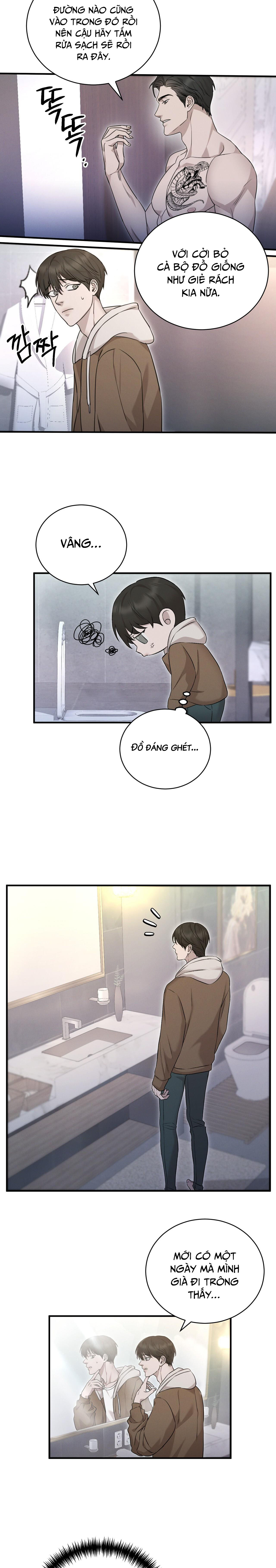 morpheus chapter 6 11