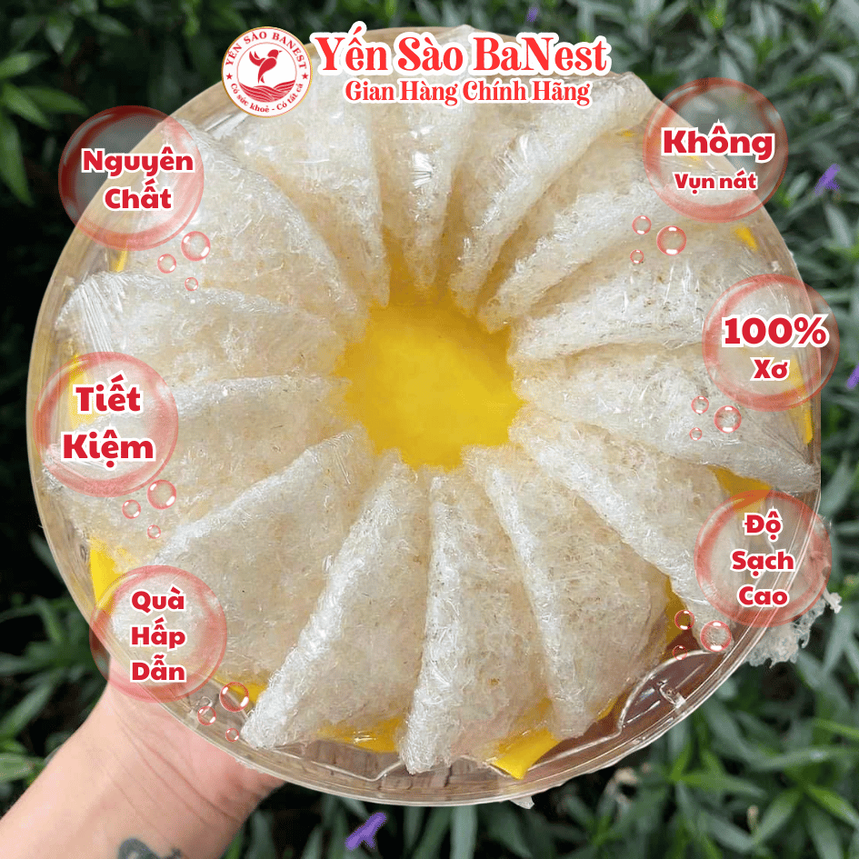 Tổ Yến Sào Tinh Chế Xơ Mướp Tiết Kiệm Tiện Lợi - Yến Sào BaNest