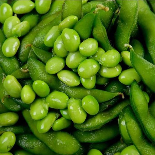 Hạt Giống Đậu Nành Rau Nhật Bản (Edamame)