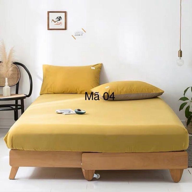 ️️ RẺ VÔ ĐỊCH ️️Bộ Ga Gối Cotton Tici Loại 1