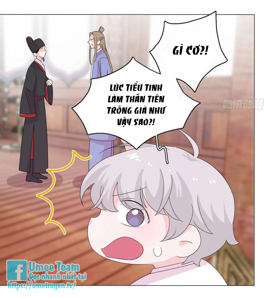 nhất hoàng cửu công thập nhị thê chapter 71 28