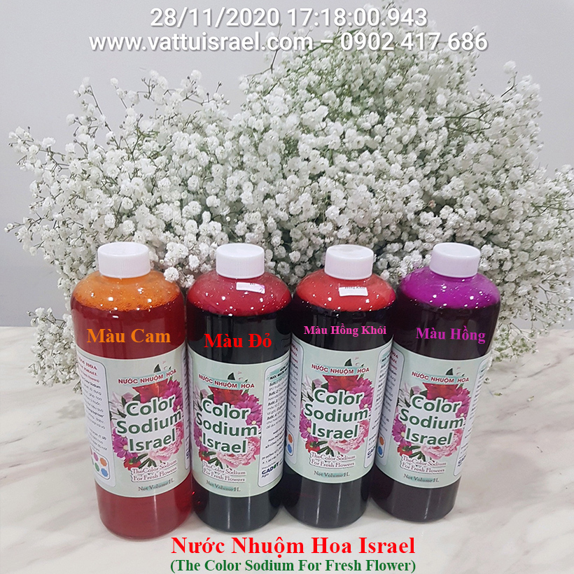 Nước Màu Nhuộm Hoa Tươi Màu Cam Israel Color Sodium For Fresh Flowers