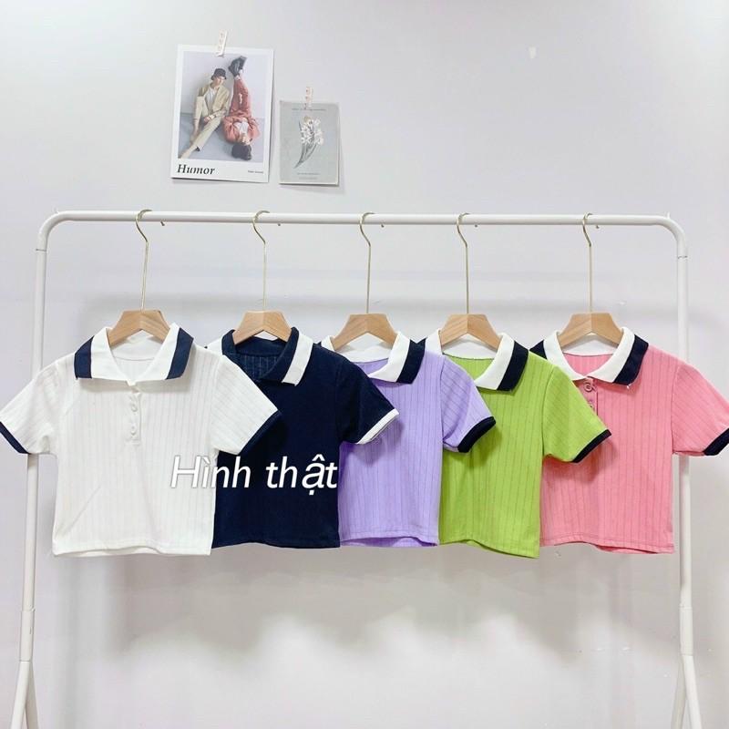 áo polo croptop thun gân mịn siêu hot