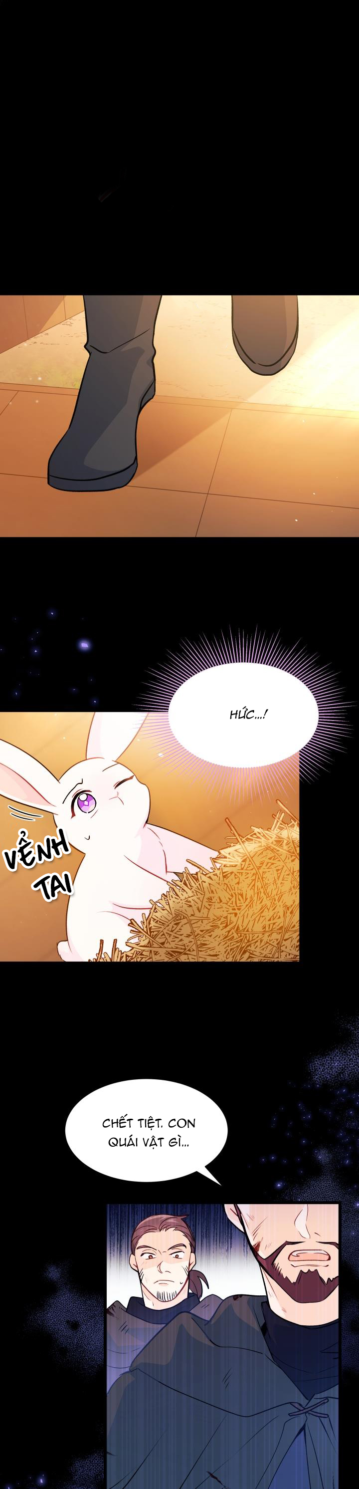 mối liên kết giữa báo đen và bé thỏ chapter 28 10