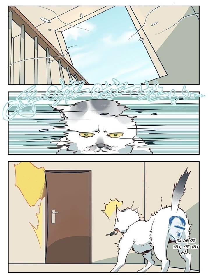 thời khắc ấy, chúng ta gặp nhau chapter 2 13