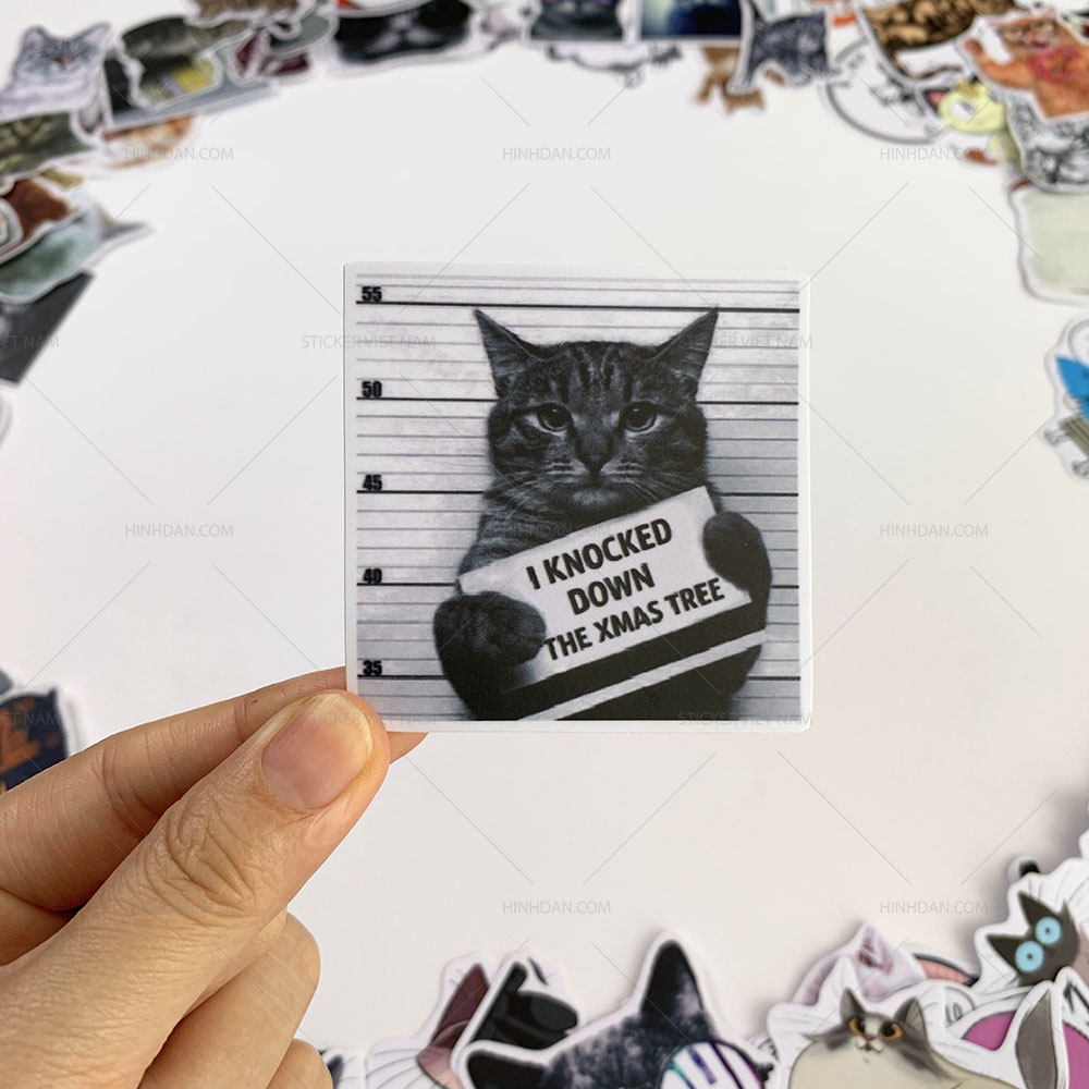 Bộ sticker chủ đề Mèo - Cat - Boss 2019, decal hình dán thú cưng chống nước, trang trí nón bảo hiểm, điện thoại, lap top ...