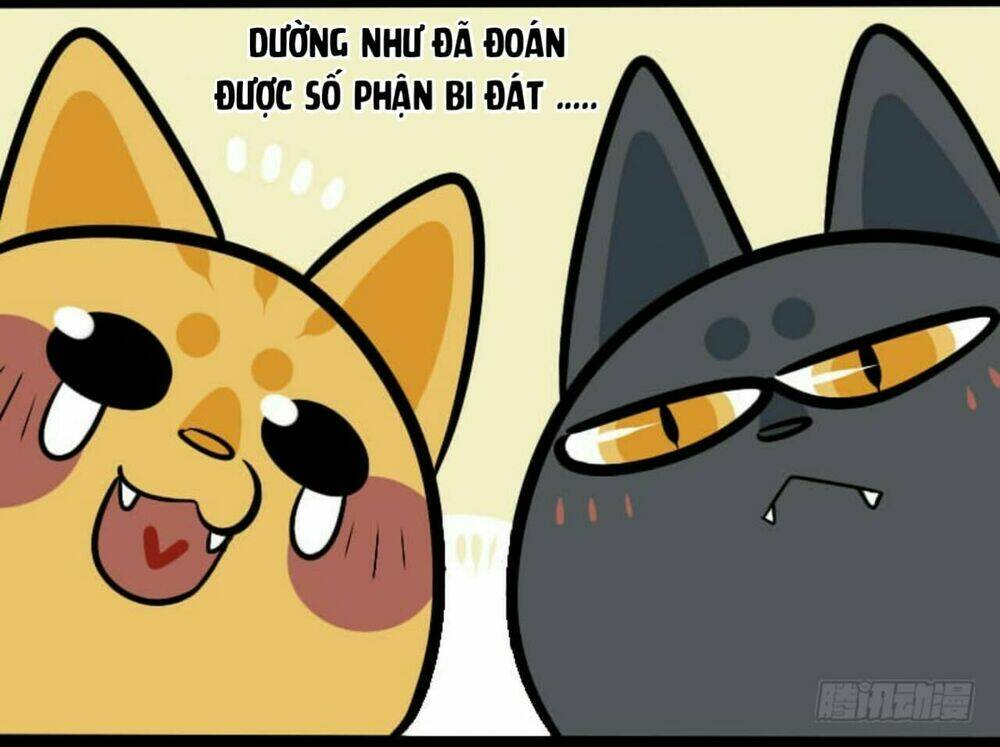 đời không như mình tưởng chapter 8 8