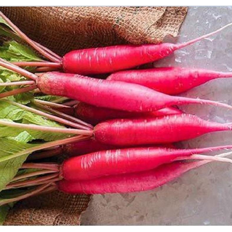 Hạt giống củ cải dài đỏ - 1 gói 5gram