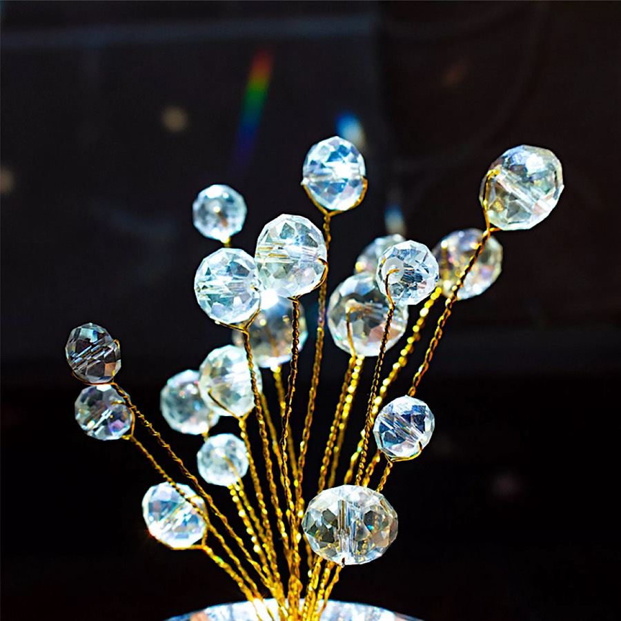 QUẢ TÁO PHA LÊ TĂNG CƯỜNG NĂNG LƯỢNG BÌNH AN VÀ TÀI LỘC