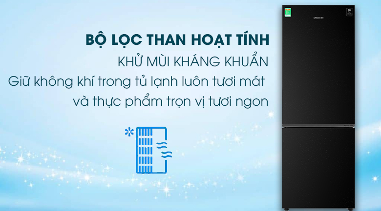 Tủ lạnh Samsung Inverter 310 lít RB30N4010BU/SV  - Chỉ Giao tại HCM