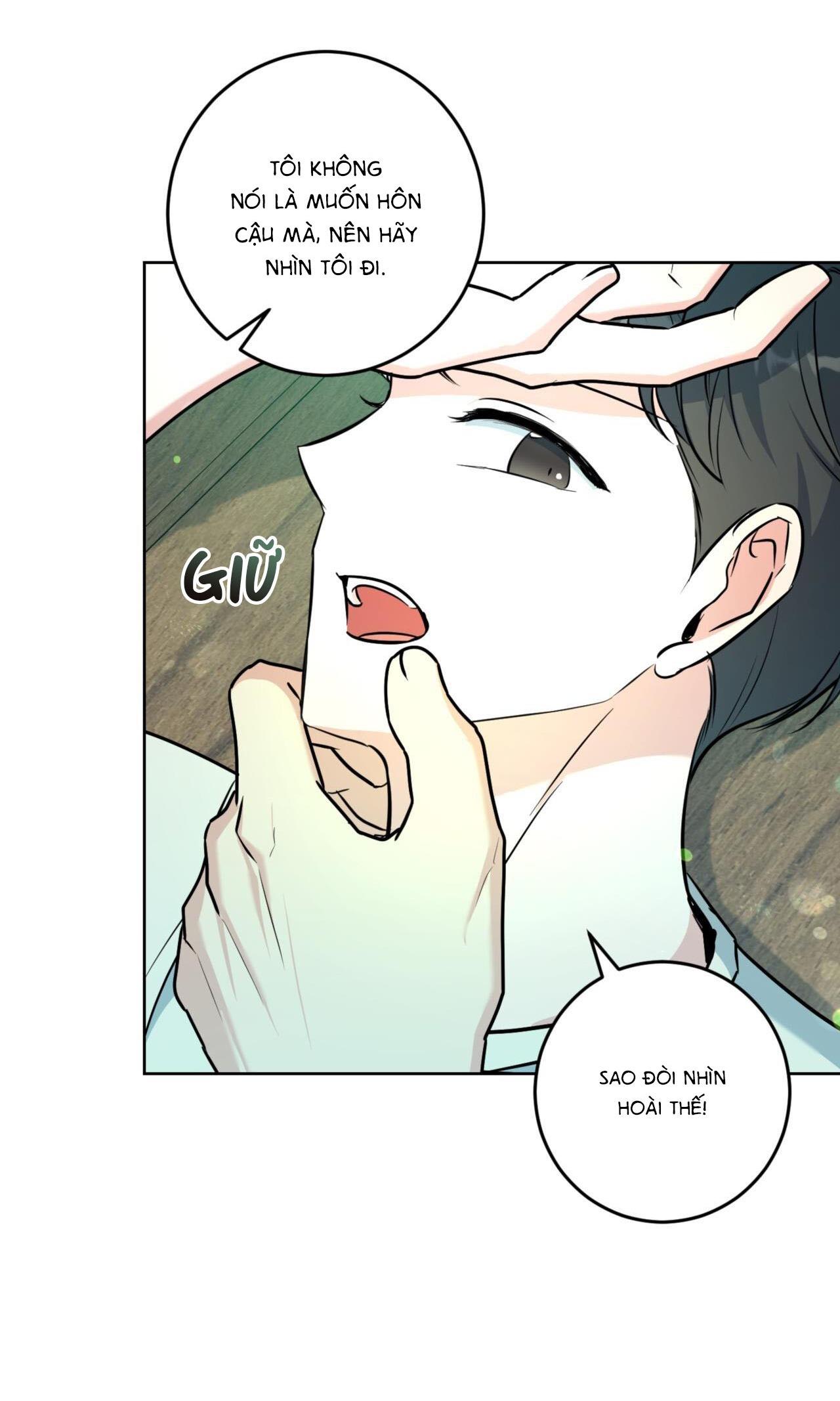 khu rừng tĩnh lặng chapter 18 62