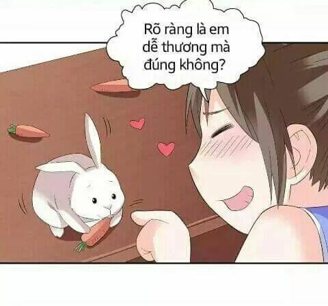 1 nửa hoàn hảo của ceo chapter 21 7