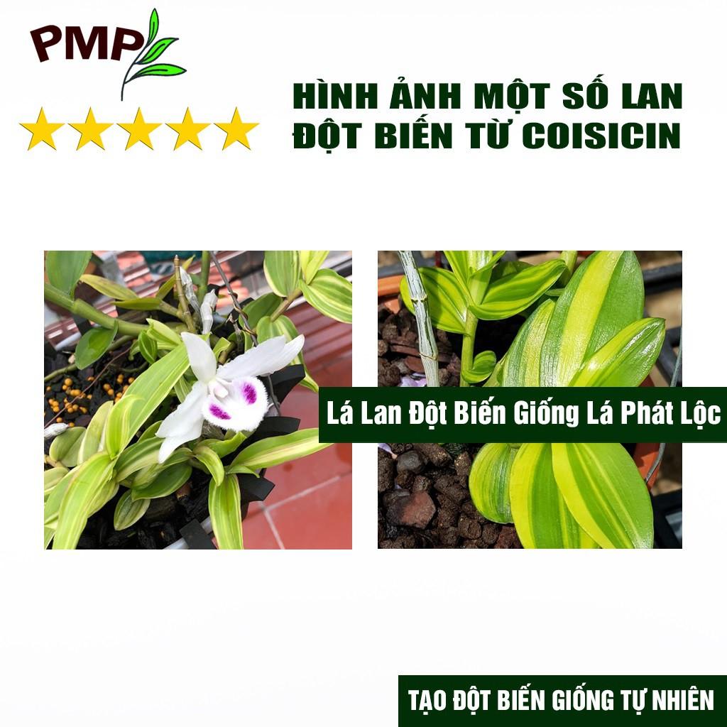 3 Gói Coisicin Gây Đột Biến Lan