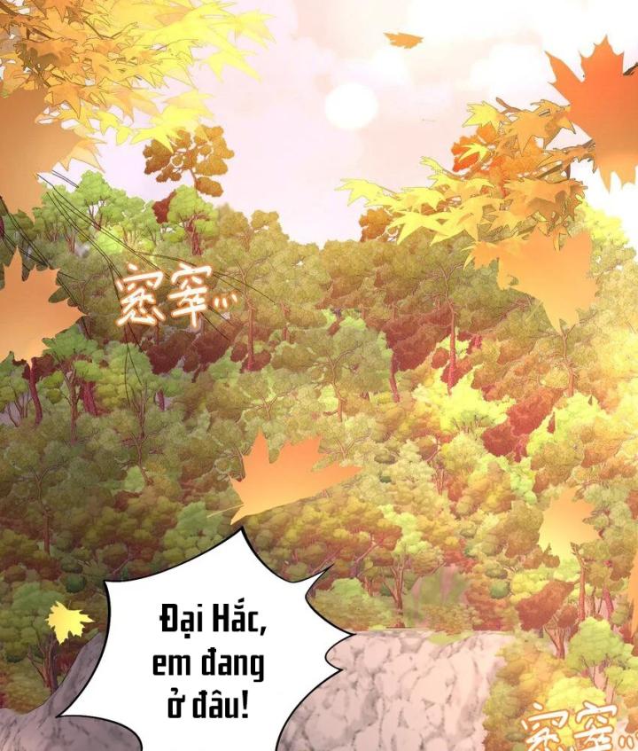 tổng tài bá đạo, đầu óc anh ấy có vấn đề chapter 1 5