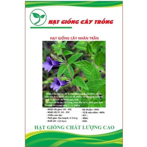 Hạt Giống Cây Nhân Trần CT209 - Gói 1gram