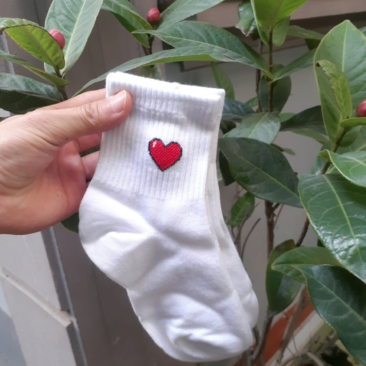 Tất cotton trắng họa tiết trái tim, tia chớp, quả bóng Vớ dệt kim unisex hàng loại đẹp