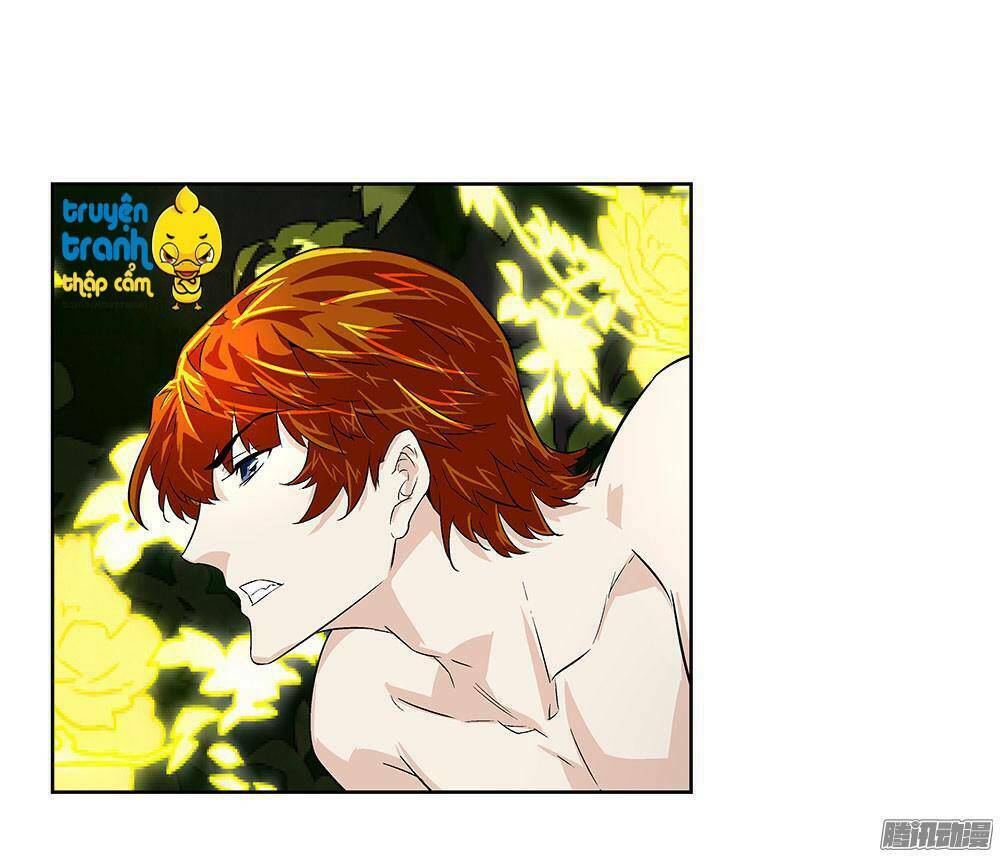 cường sủng hào môn tiểu manh thê chapter 7 7