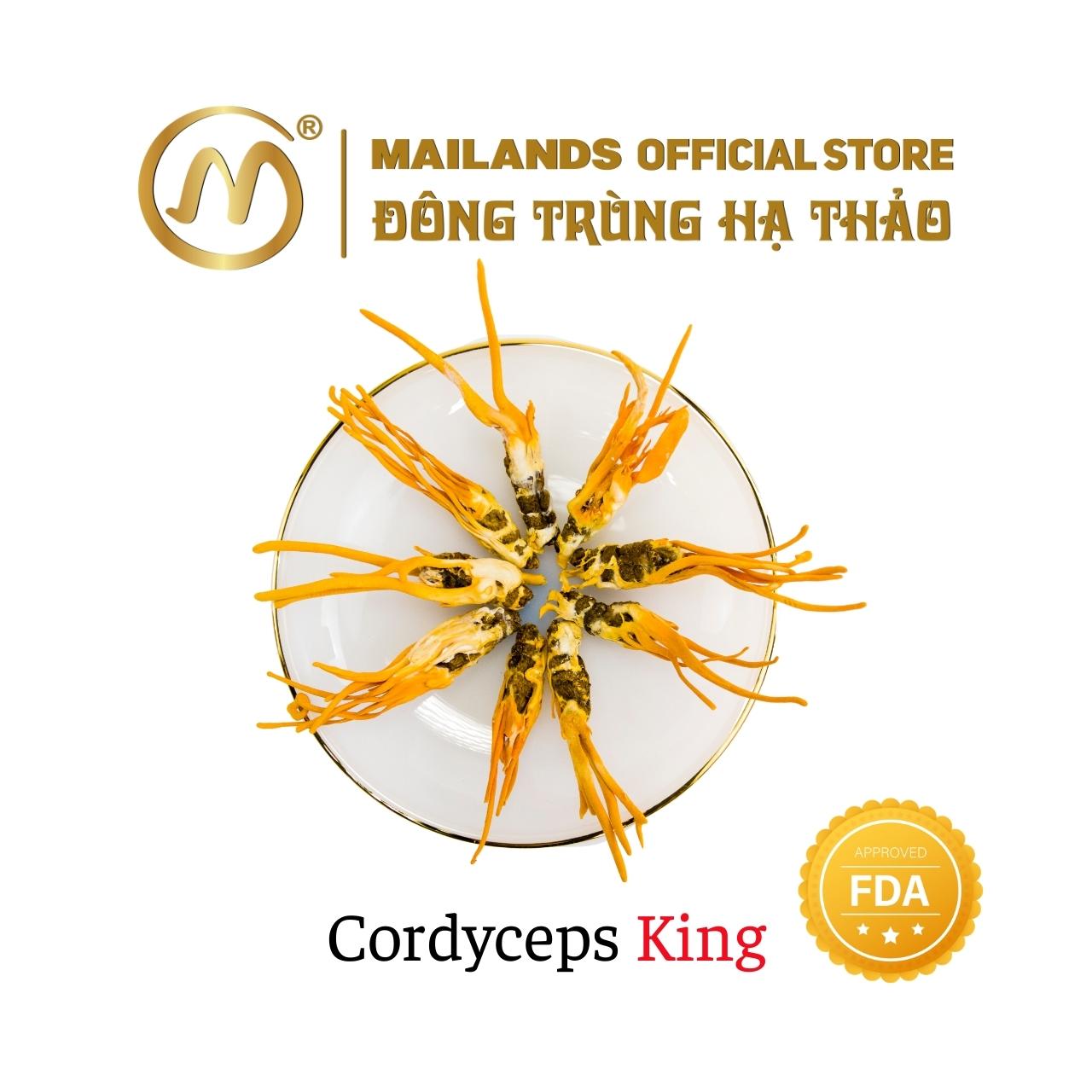 Đông Trùng Hạ Thảo Cordyceps KING