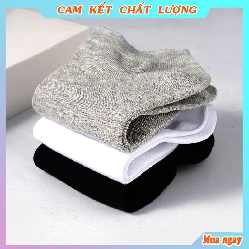 Tất nam vớ nam cổ lỡ đẹp cho mùa hè thu mã PH01 co giãn cao cấp dáng tất chân nam cổ ngắn