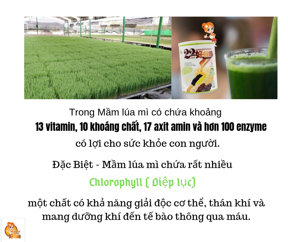 Ngũ cốc (sữa hạt) dinh dưỡng cao cấp 22 loại hạt hiệu Good Lady - 22 Complete Nutrimix - Wheat Grass (Mầm lúa mì) - hộp giấy 625g (25gói x 25g)