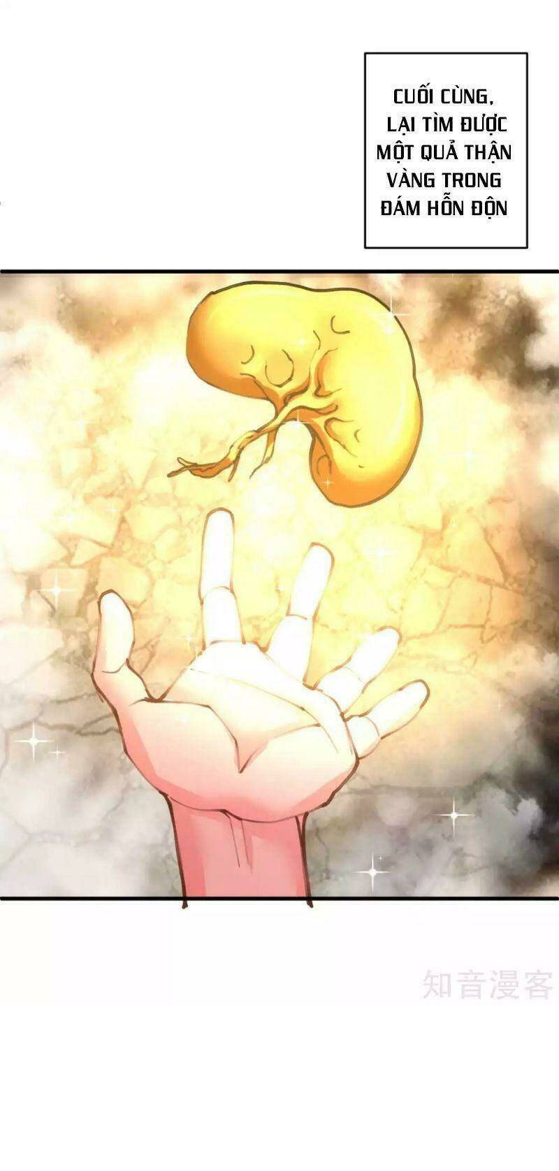 tối cường đại biểu hoàng kim thận chapter 112 14