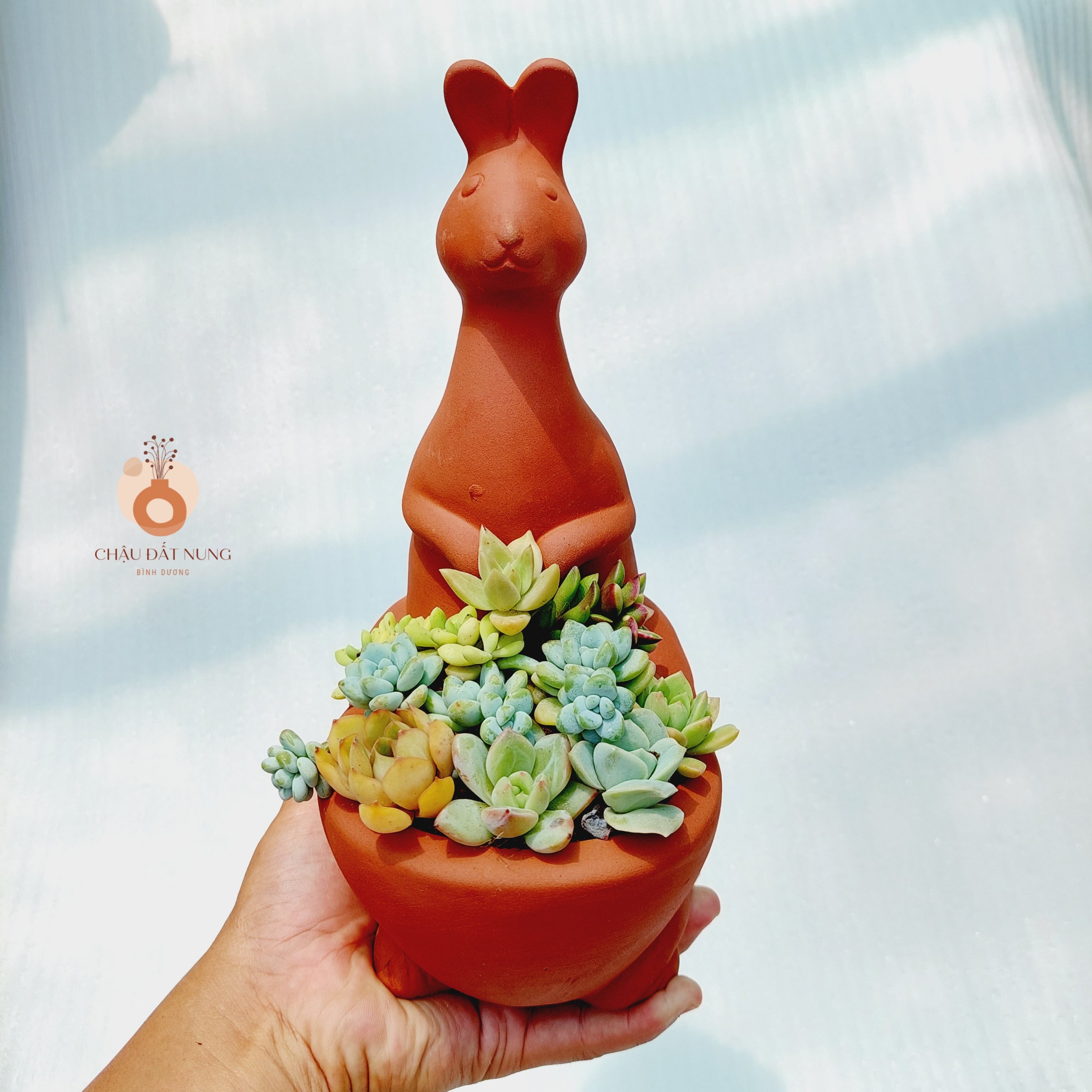 Chậu đất nung Bình Dương - Chú chuột túi dễ thương, miệng chậu 9cm, chiều cao 27cm