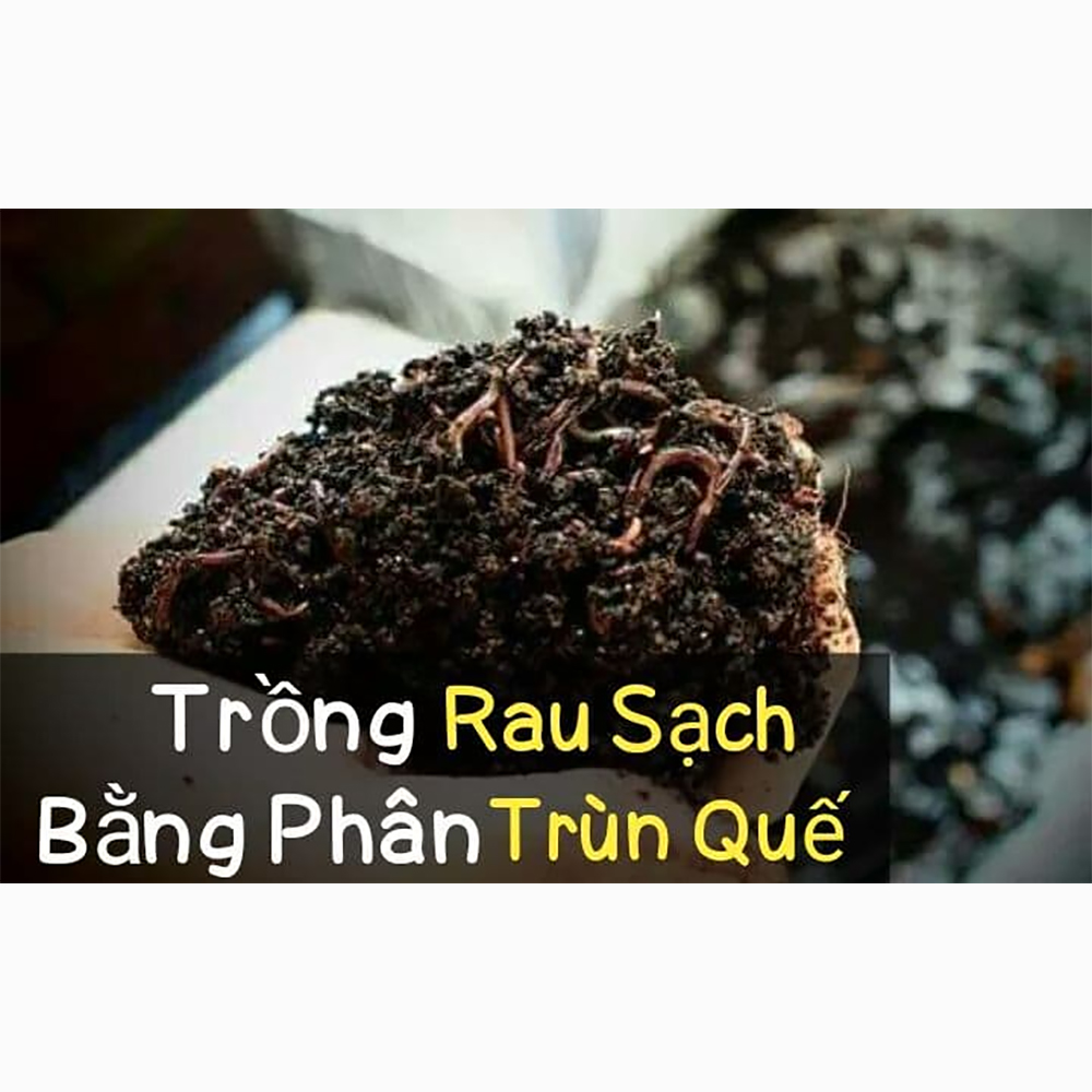 Phân Trùn Quế Nguyên Chất An Bình 100% từ Trùn quế - Giúp Ổn Định Độ pH Trong Đất Sau Thời Gian Dài Canh Tác (Túi 2KG)