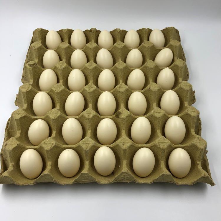 Bộ 12 Trứng Gà Giả Bằng Nhựa Dùng Trang Trí Để vẽ hoặc làm mô hình chuồng ấp, đạo cụ dạy học