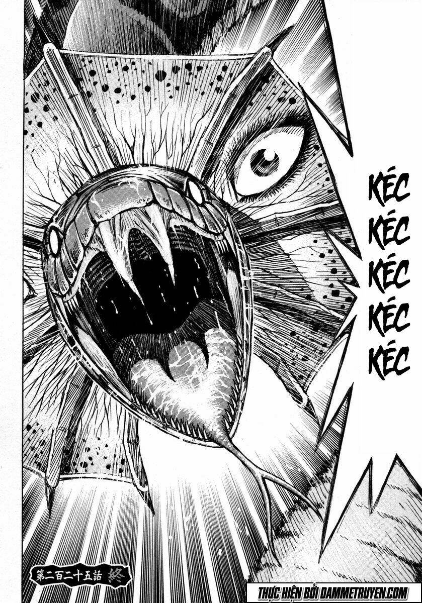 đảo ma cà rồng chapter 225 26