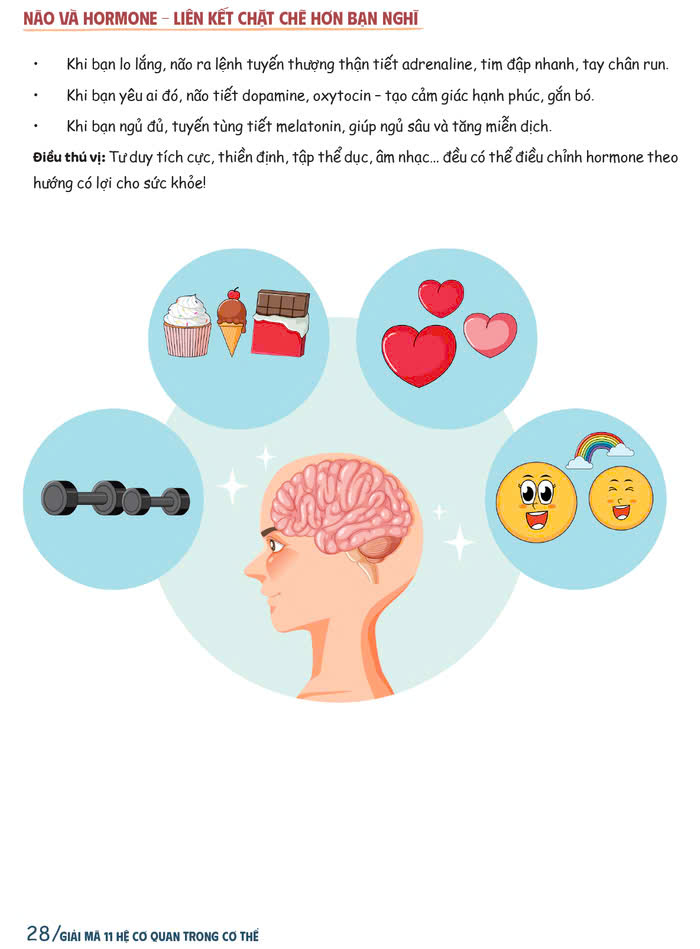 Combo 2 cuốn Liệu pháp dinh dưỡng cho mọi loại bệnh + giải mã 11 hệ cơ quan trong cơ thể