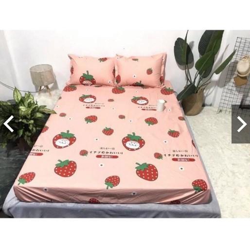 Ga Chống Thấm Cotton NANO Kháng Khuẩn Loại 1, Ga Chống Thấm Cotton NANO Hàng Loại 1