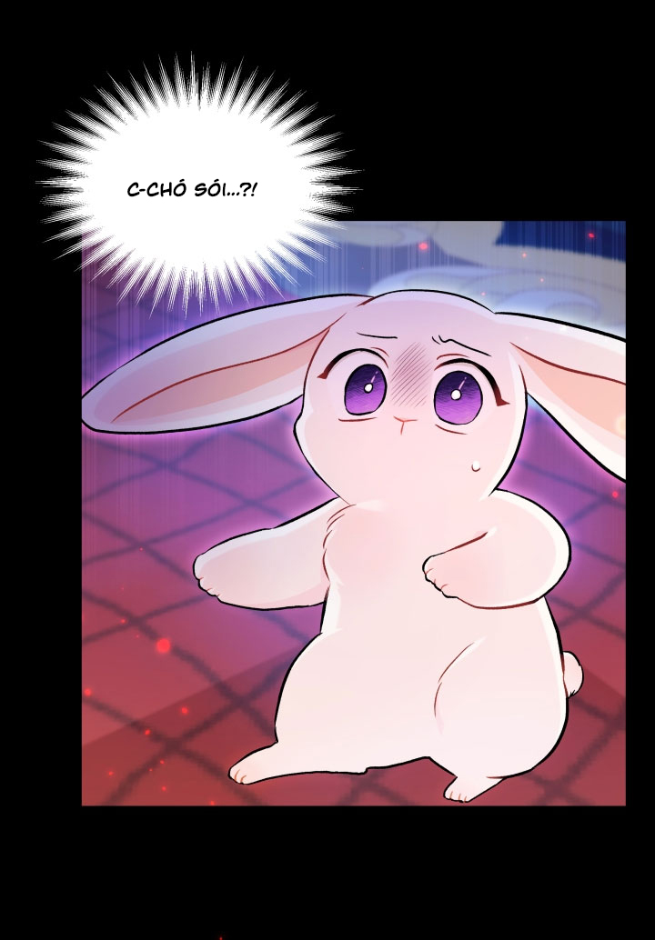 mối liên kết giữa báo đen và bé thỏ chapter 14 2