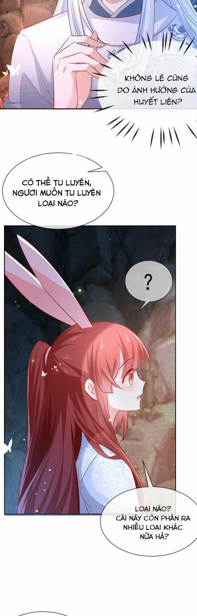 hắc hóa nam chính trực tuyến nuôi thỏ chapter 19 7