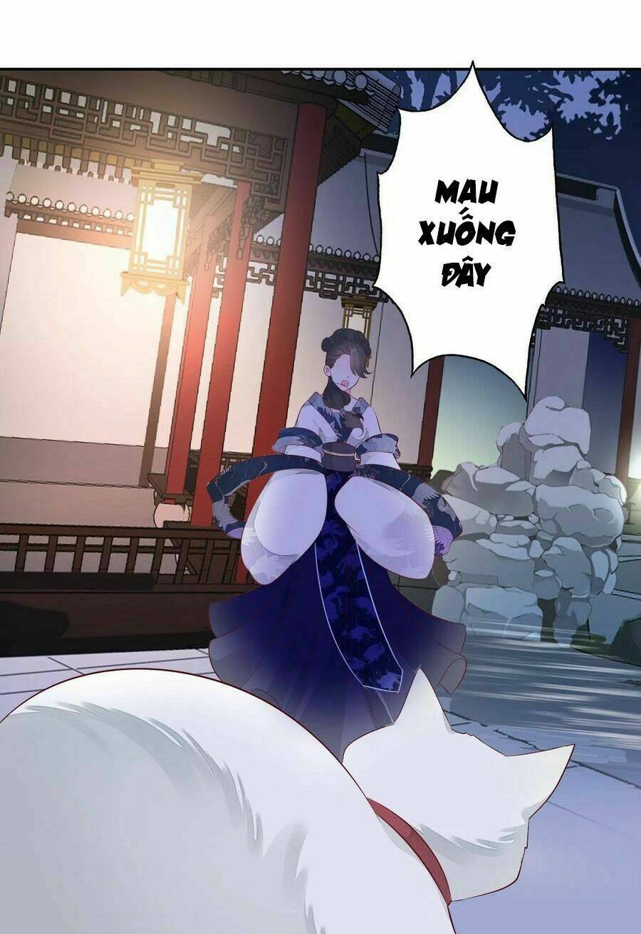 điền viên mật sủng: cô vợ nóng bỏng chapter 103 45