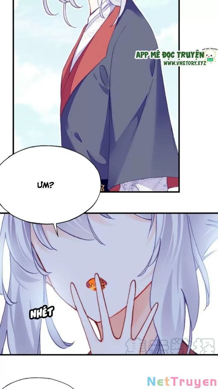 lại bị bệnh chiều chuộng quấn lấy chapter 35 5