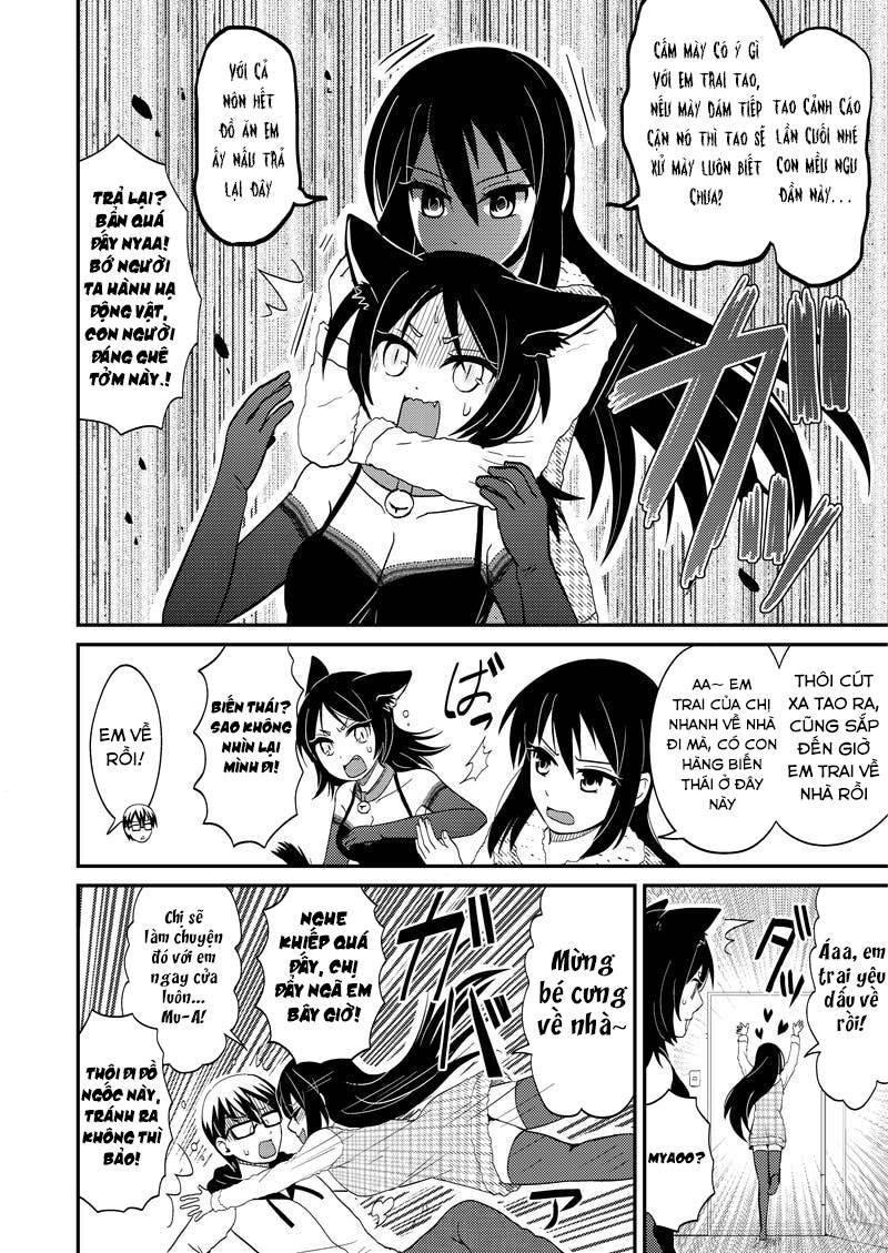 kyoudai hodo chikaku tooimono wa nai chapter 117 6