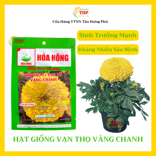 Hạt giống Vạn Thọ F1 Cao Lỡ Vàng Chanh | Hạt Giống | gói 0.1gr