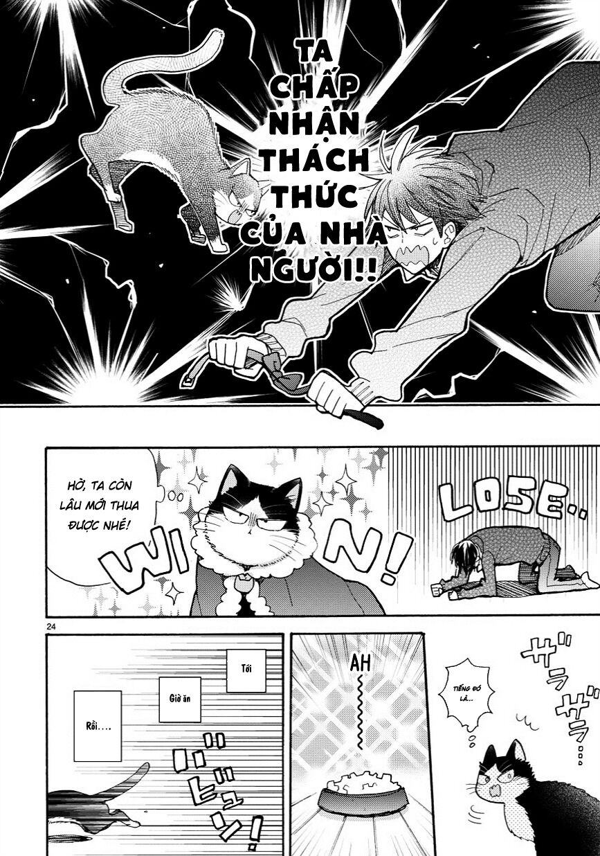 doukyonin wa hiza, tokidoki, atama no ue chapter 6.5 4