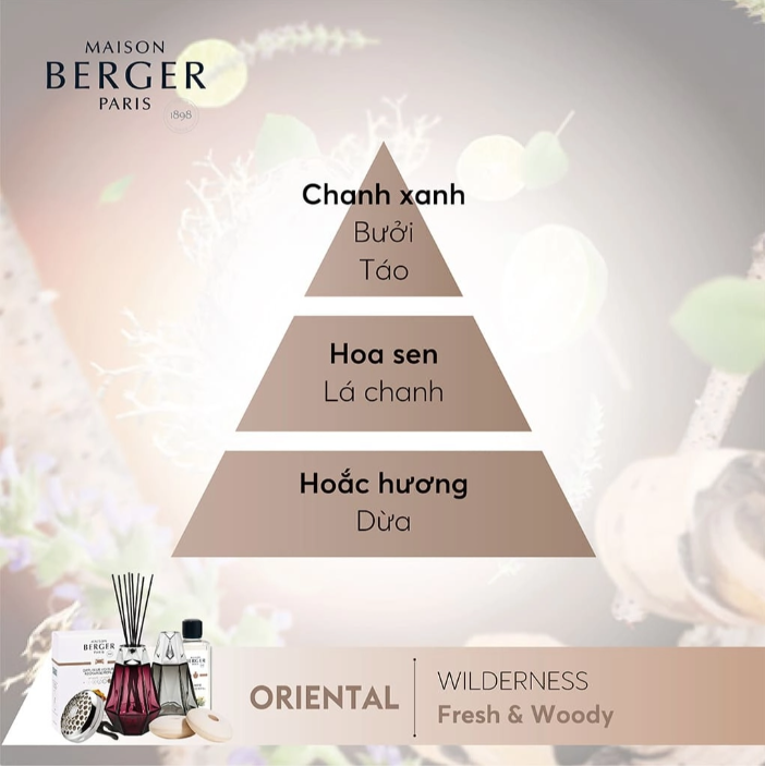 Maison Berger - Bộ tinh dầu xe hơi hương Wilderness Car - 2 cái