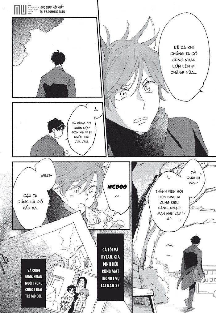 neko to mahou wa kiss de hodokeru chapter 1 8