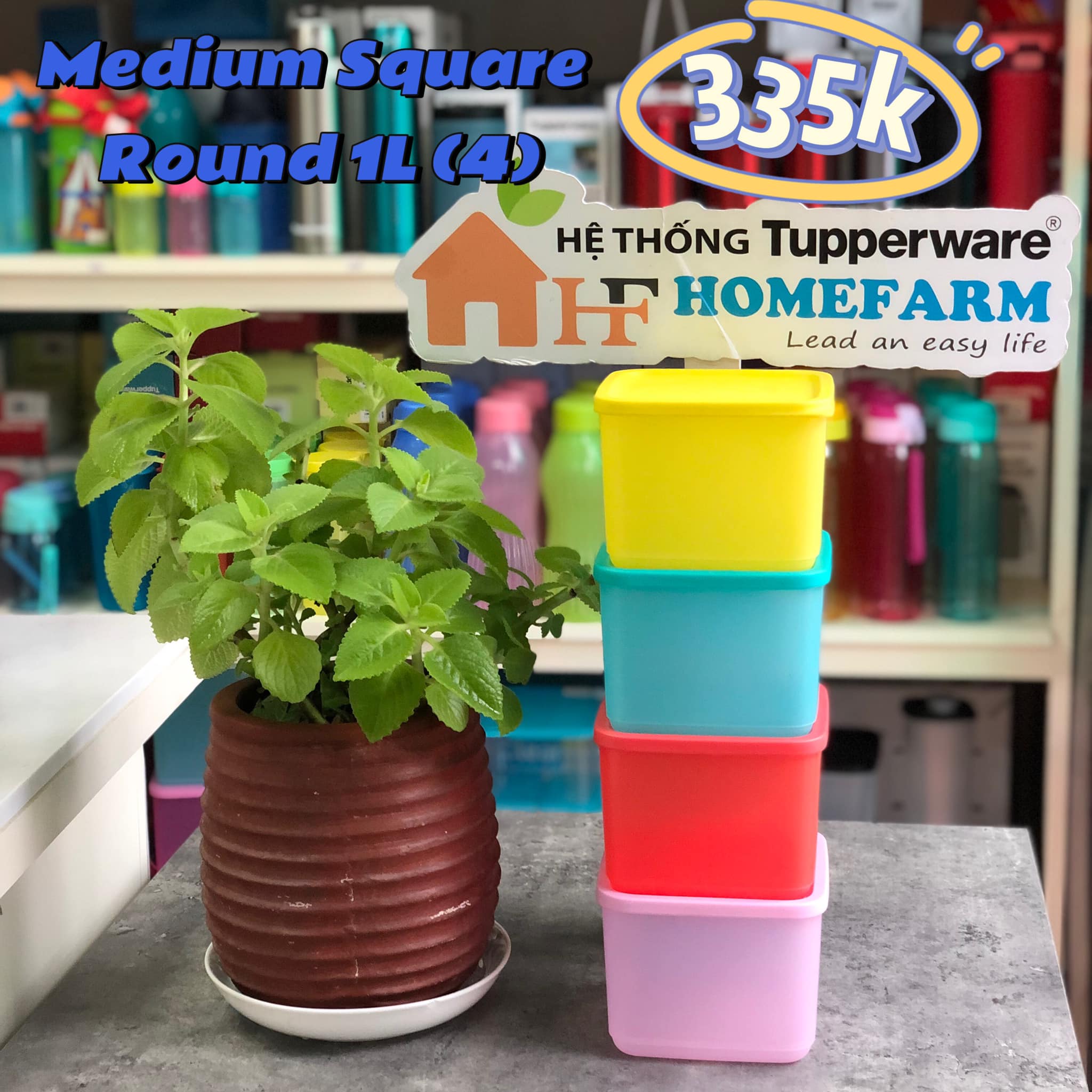 Bộ Hộp BQTP Medium Square Round 4 Hộp TUPPERWARE HÀNG CHÍNH HÃNG