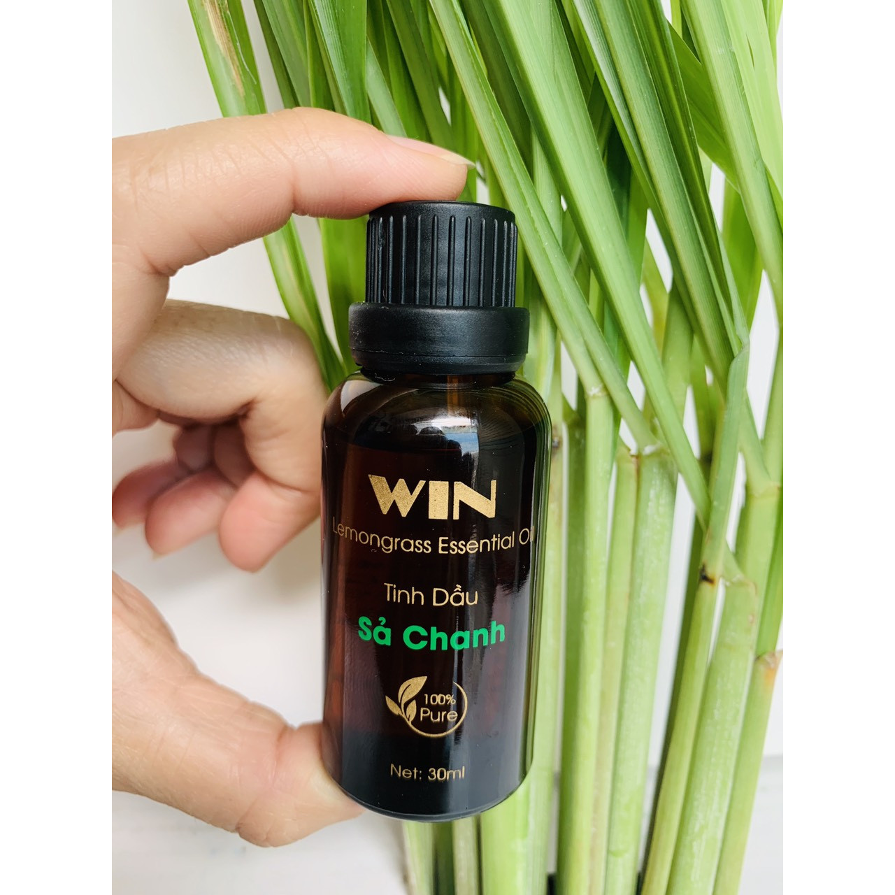 Tinh dầu sả chanh nguyên chất 30ml. Xông phòng, kháng khuẩn, khử mùi, xua đuổi muỗi,...