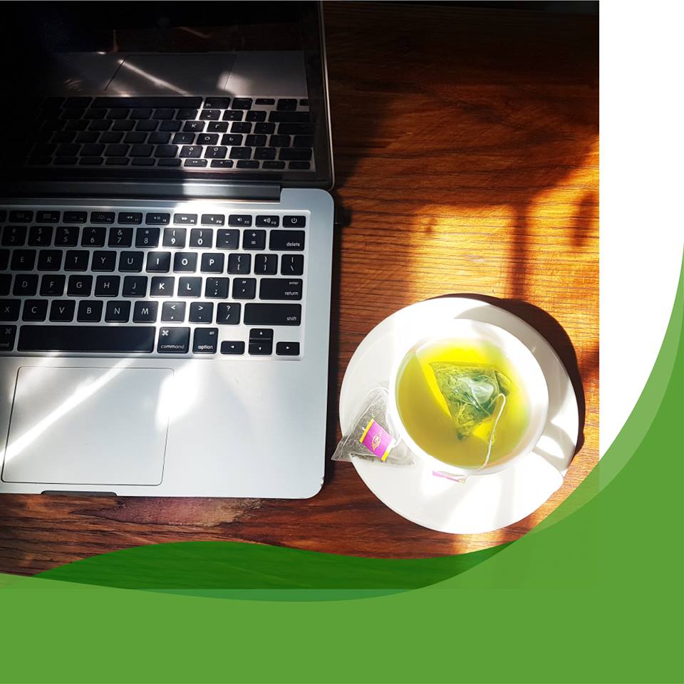 Trà Túi Lọc Otea - Trà Xanh Hương Lài Cat Nghi Tea