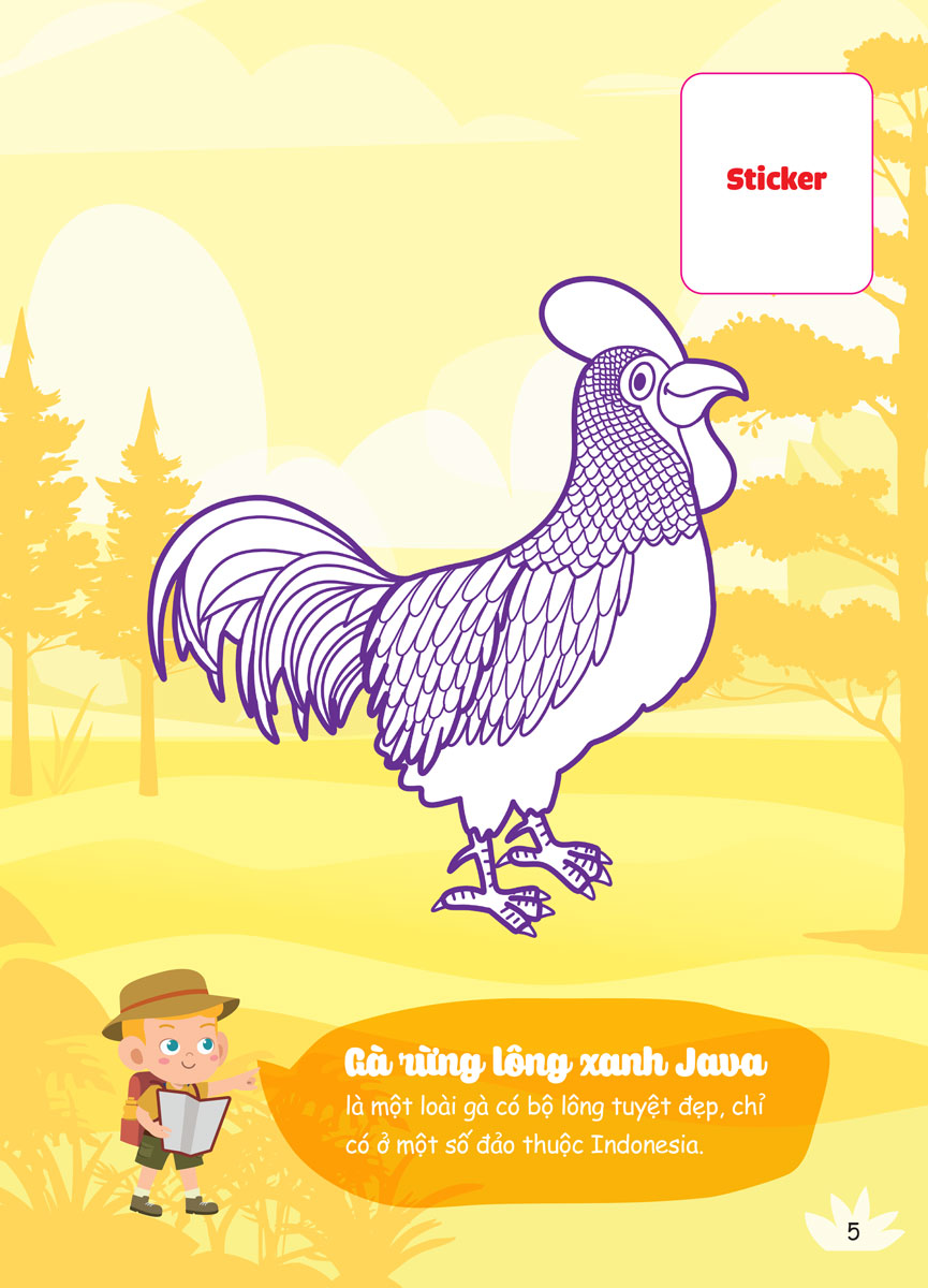 Con Tô màu - Thám Hiểm Rừng Nhiệt Đới _MEGA