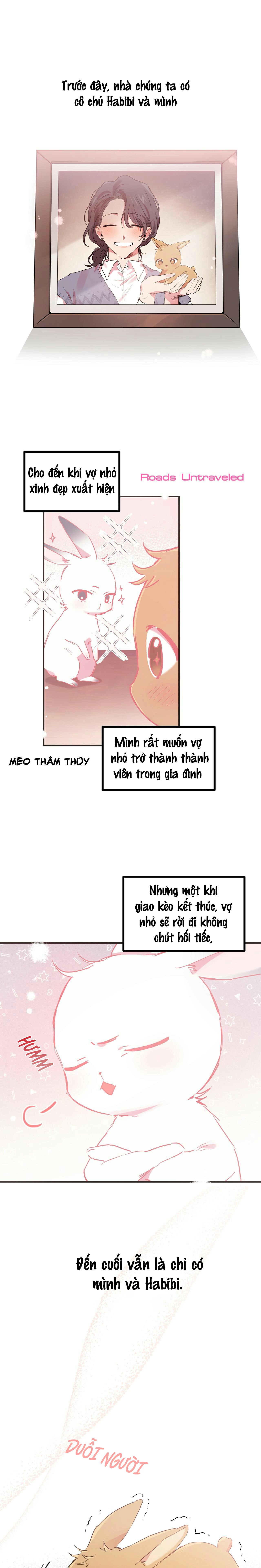 đàn thỏ của habibi chapter 11 2