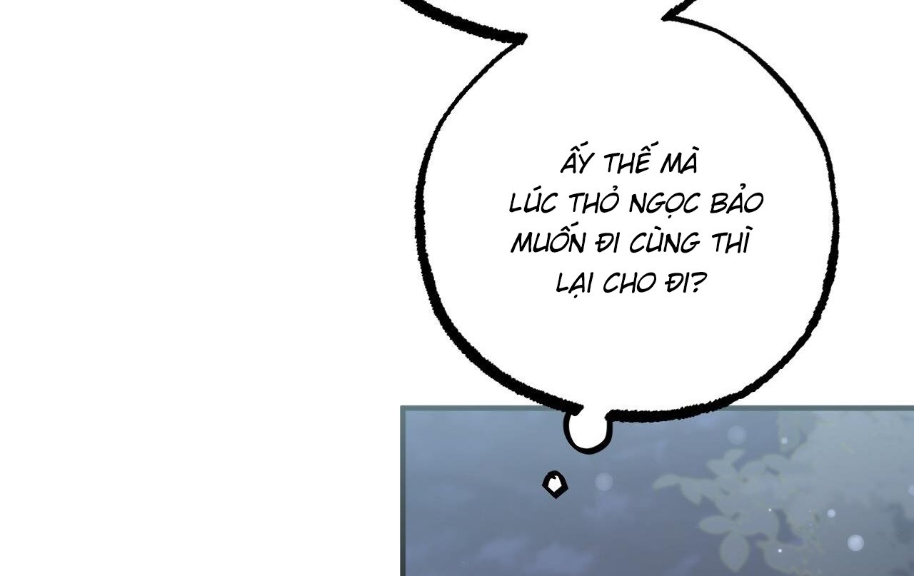 những chú thỏ của hapypy chapter 61 174