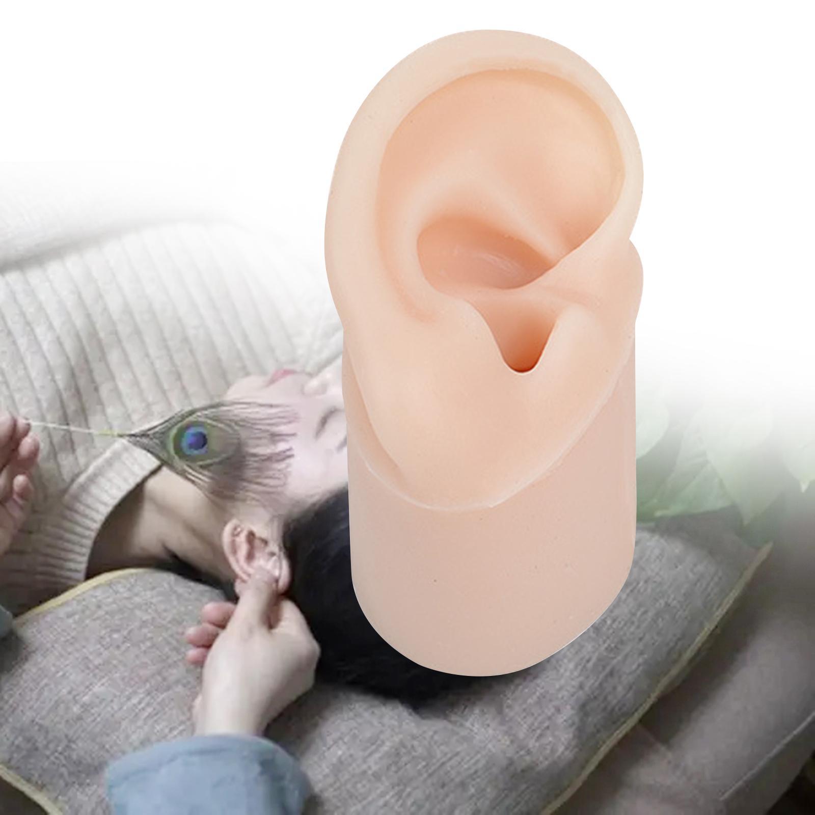 Simulated Soft Silicone Ear Model with Base Headset Display Props Left