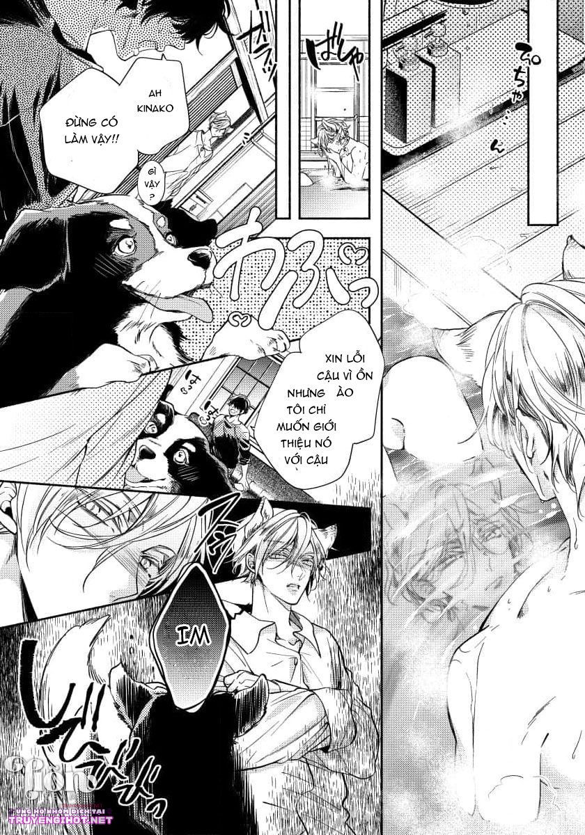 [18+]chú cáo thích nói dối chapter 2.2 4