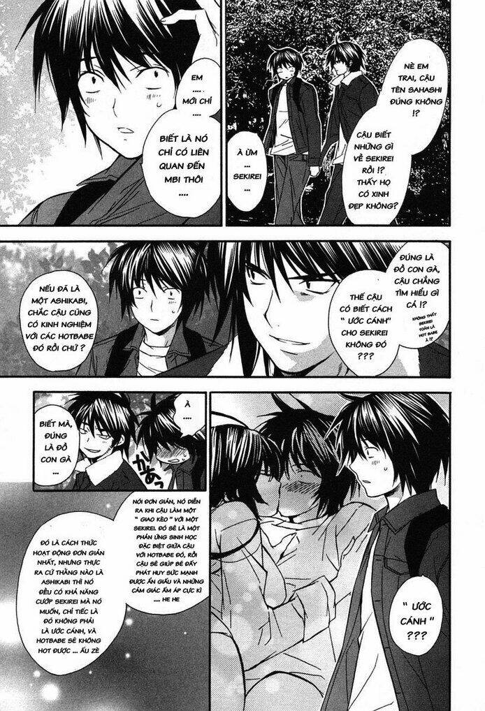 sekirei chapter 10 19