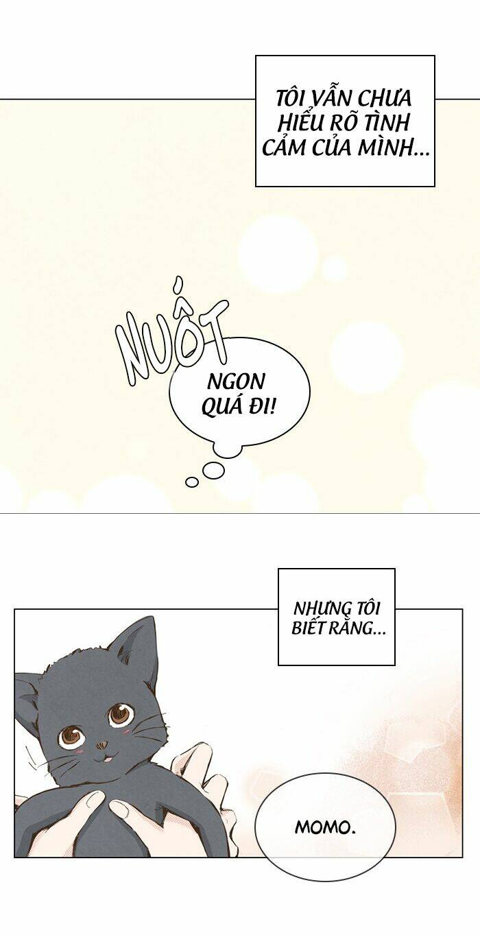 marry me! chapter 15 34